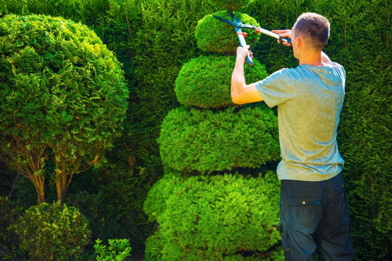 Seasonal Shrub Maintenance
