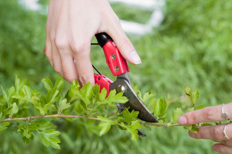 Pruning Tools