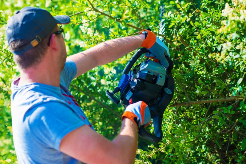 Local Shrub Trimming pros at work