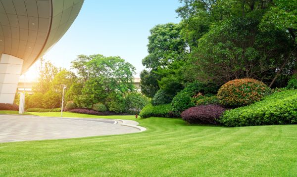 Cost of Commercial Shrub Trimming in Boston