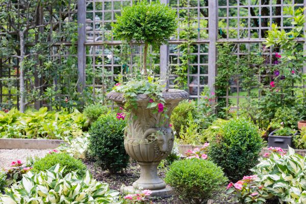 Cost of Topiary Pruning in Boston